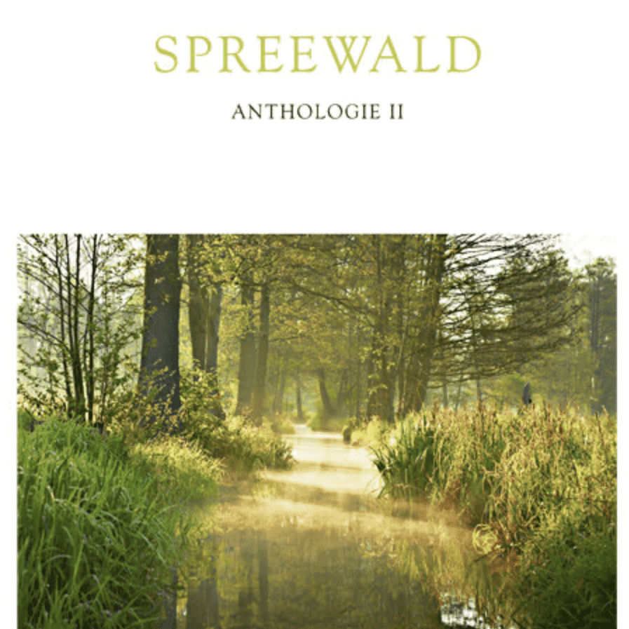 Spreewald-Literatur-Stipendium